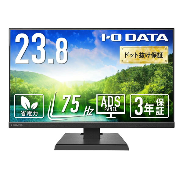 IODATA EX-A241DB